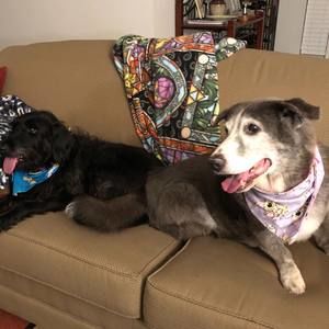 Meet your Posher, Karyn